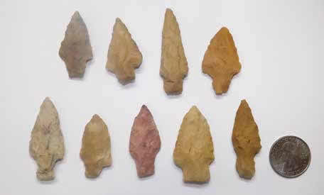 These Late Woodland stemmed points were found in the fields around both mounds of Sally Warren Mounds.