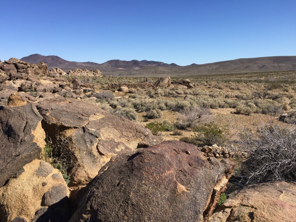 Overview of Willis Well Preserve (note the rock walls)