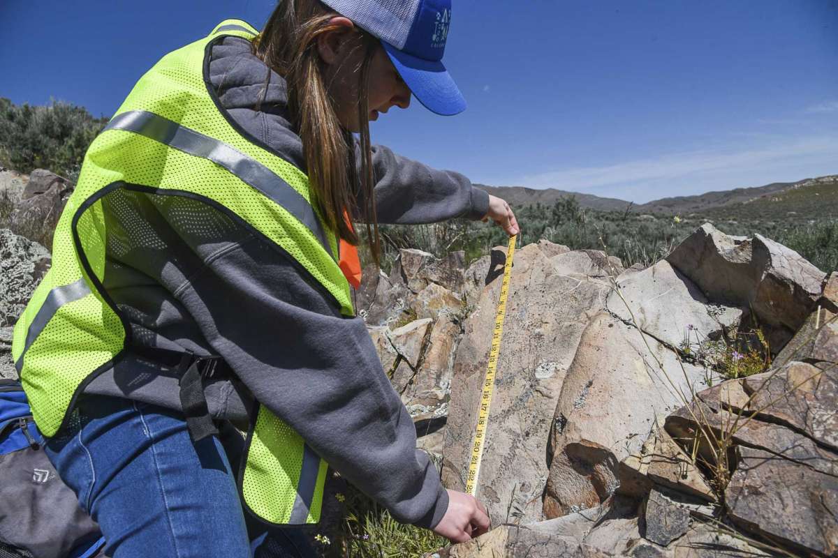photo of a woman wearing a yellow safety vest and using a measuring tape to measure petroglyphs on a rock.