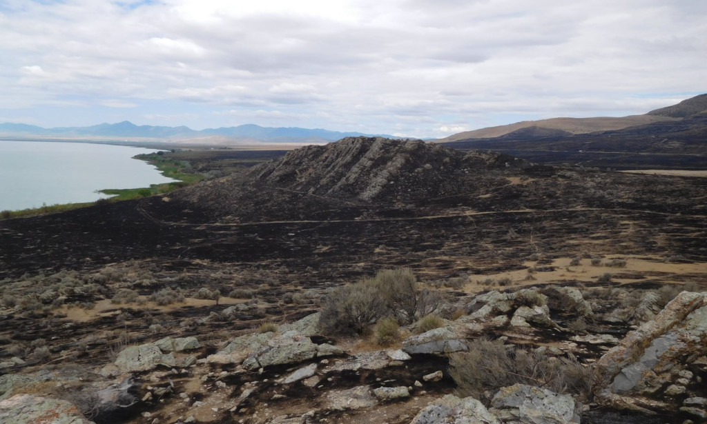 View of the Smith Family Archaeological Preserve