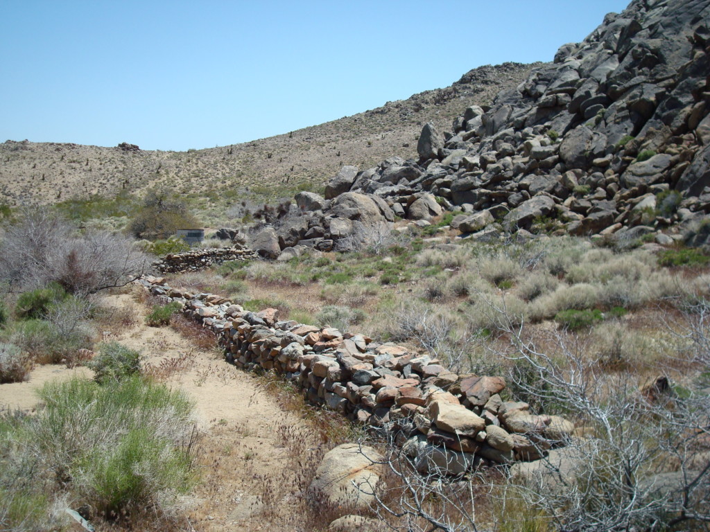 Archaeological Conservancy in California Photo: Cory Wilkins | TAC