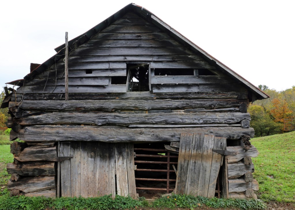 17 Lewis Cabin Closeup 1