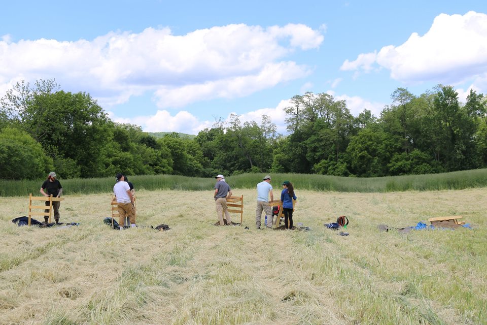Doing Shovel test pits along with a metal detecting survey. Credit: Binghamton University Fieldschool