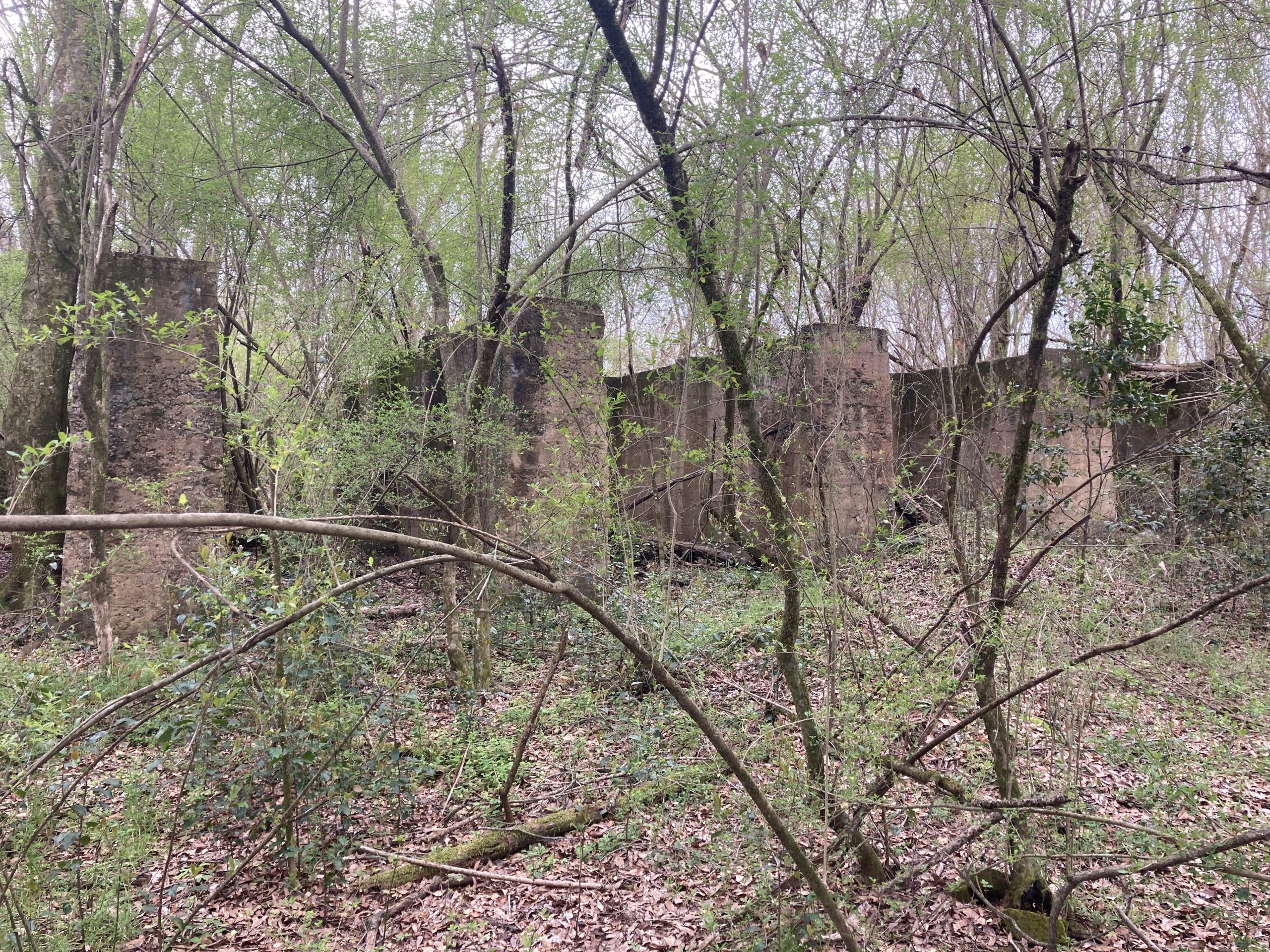photo of wooded area with several brick walls lined up in the background
