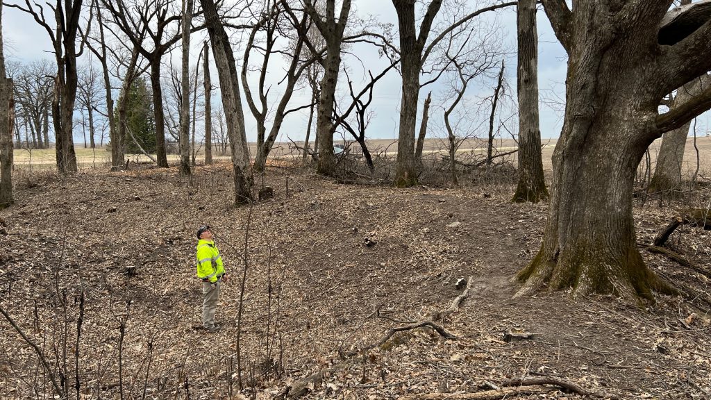 Worker stands in GMC quarry pit that's been cleared of overgrowth. Photo credit: Tom Trow
