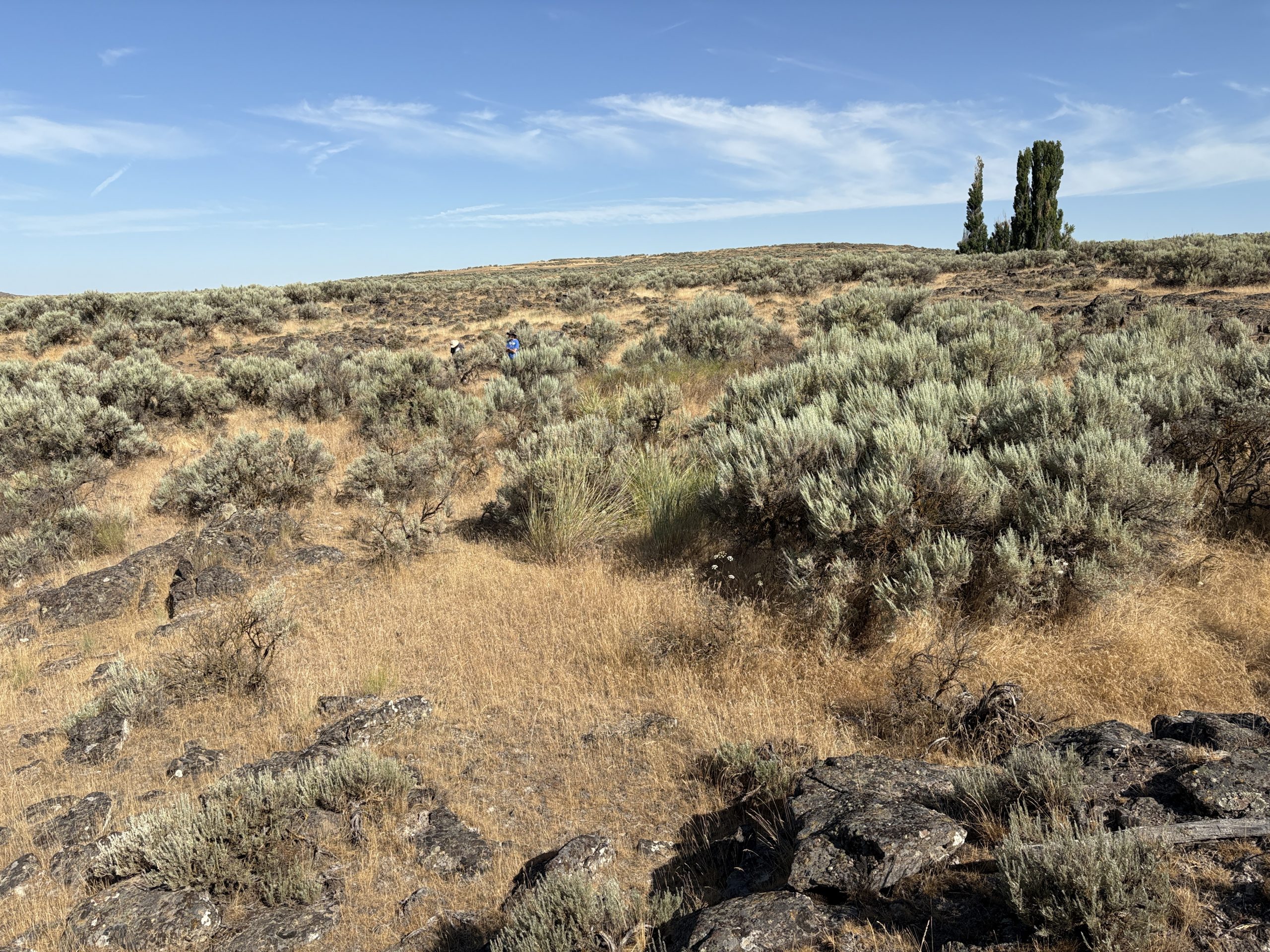 Sylvan Lake Preserve contains a pre-contact pithouse village.