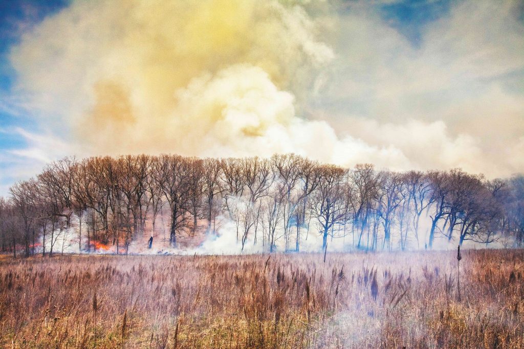 A prescribed burn of oaks and shagbark hickories is conducted at Nachusa Grasslands in Illinois in April 2013. Photo by Charles Larry.